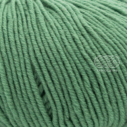 Merino 120 de Lang Yarns, une laine de mérinos fine, extradouce et traitée supewash.  De calibre DK, elle se tricote avec des aiguilles 3.5 à 4 mm.  Coloris Sage ou Sauge, un vert feuille.
