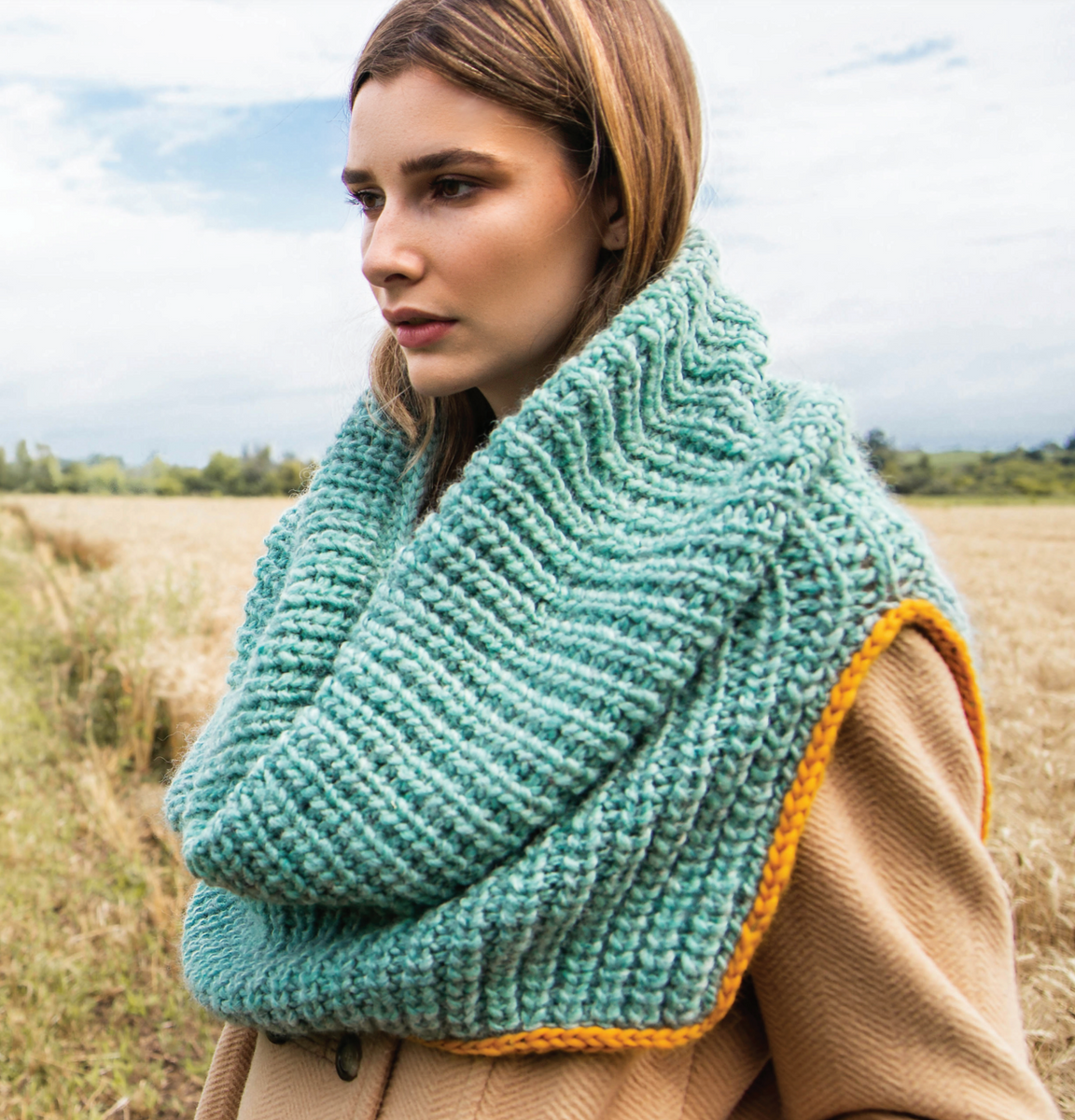 Patons Classic Wool Roving – Tricolaine St-Jean-sur-le-Richelieu