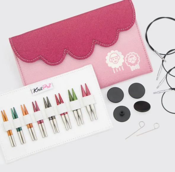 Ensemble aiguilles interchangeables Dreamz de Knit Pro, 2 pouces