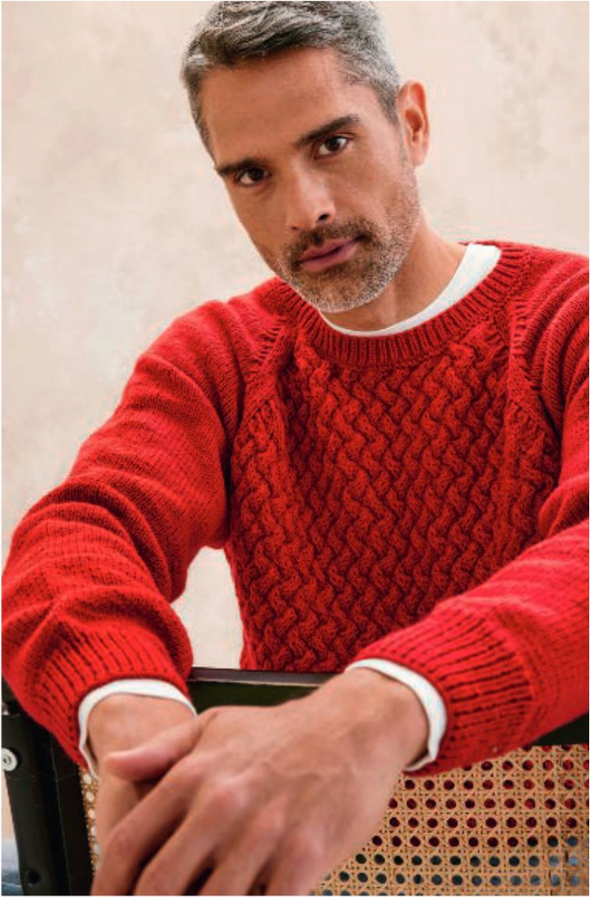 Magazine Phildar Homme, numéro 264