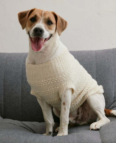 Patron du pull chien Olaf - Phildar