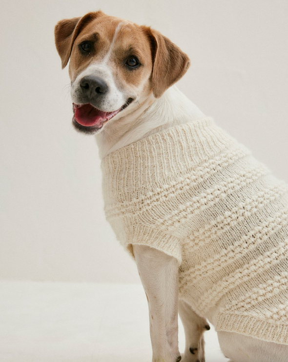 Patron du pull chien Olaf - Phildar