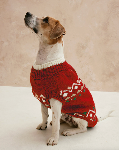 Patron du pull chien Tobby - Phildar