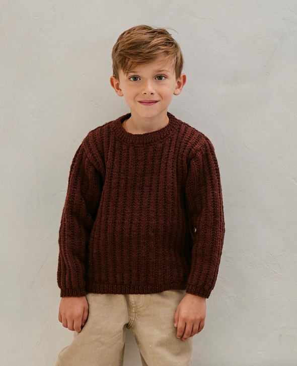 Patron du Pull Phil - Phildar