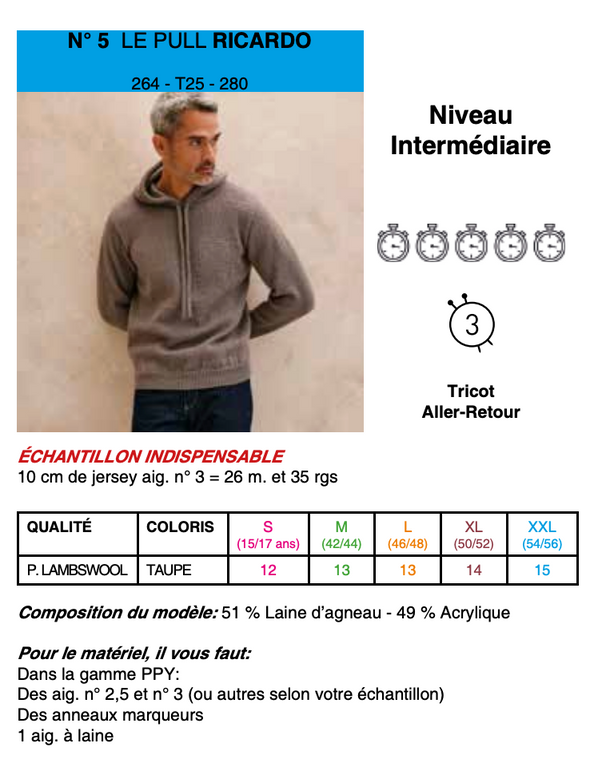 Patron du Pull Ricardo - Phildar