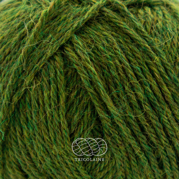 Drops Nord, un doux mélange de laine péruvienne et d'alpaga.  De calibre Sport, cette fibre se tricote avec une aiguille 3 mm.  Coloris Citronelle, un vert mix qui a des variations de teintes du vert automne vers le jaune.